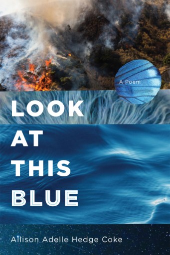 Look at this Blue book jacket image