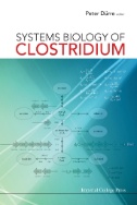Book Jacket of Systems Biology of Clostridium