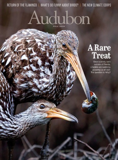 Audubon Magazine Subscriptions