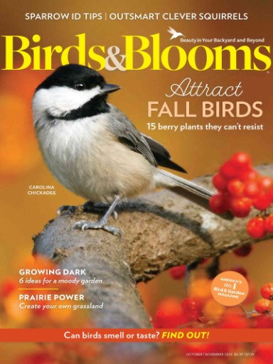 Birds & Blooms Magazine Subscriptions