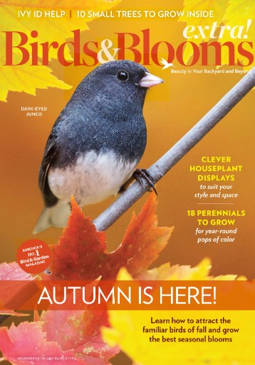 Birds & Blooms Extra Magazine Subscriptions