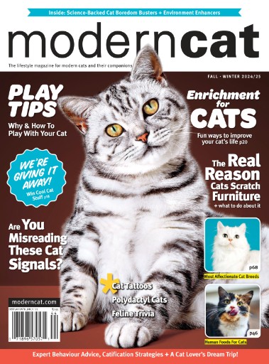 Modern Cat Magazine Subscriptions