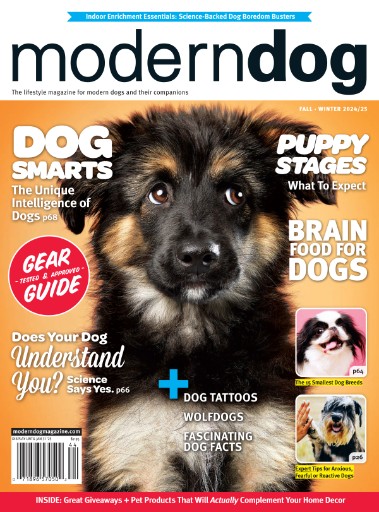 Modern Dog Magazine Subscriptions