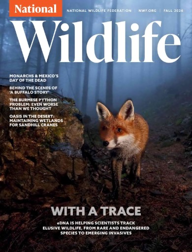 National Wildlife Magazine Subscriptions