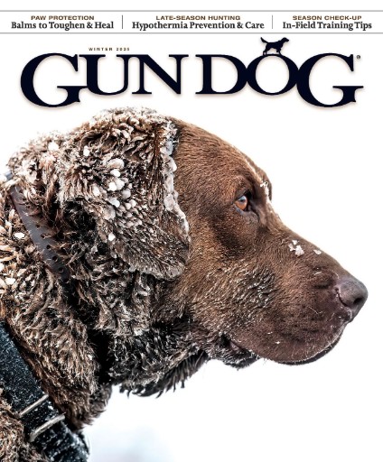 Gun Dog Magazine Subscriptions