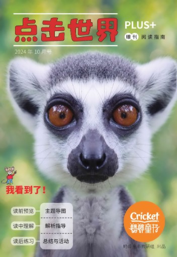 Click Magazine, Chinese Version Magazine Subscriptions