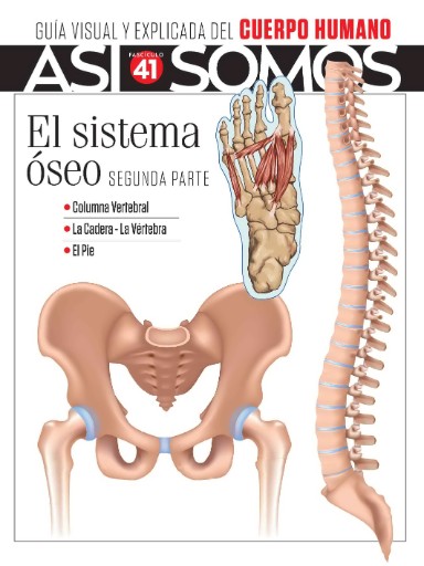 Así Somos Cuerpo Humano Magazine Subscriptions