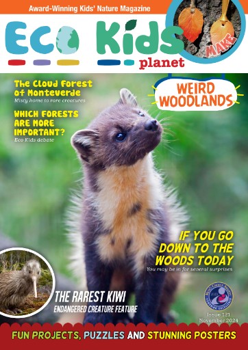 Eco Kids Planet Magazine Subscriptions