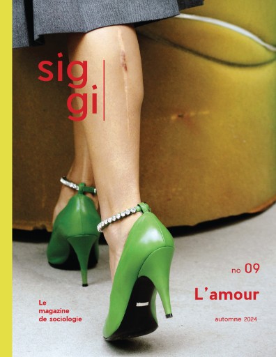 Siggi: Le Magazine de Sociologie Magazine Subscriptions