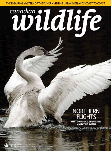 Canadian Wildlife Magazine Subscriptions