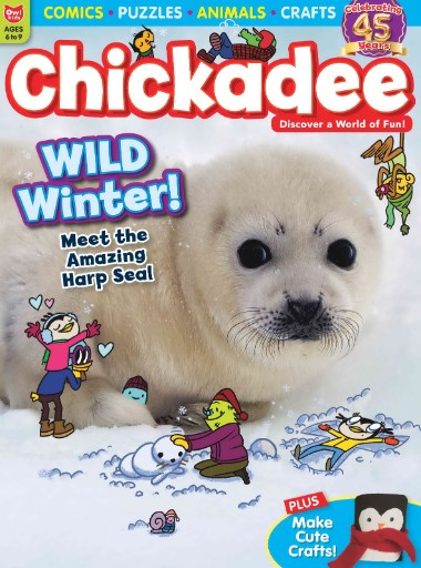 ChickaDEE Magazine Subscriptions