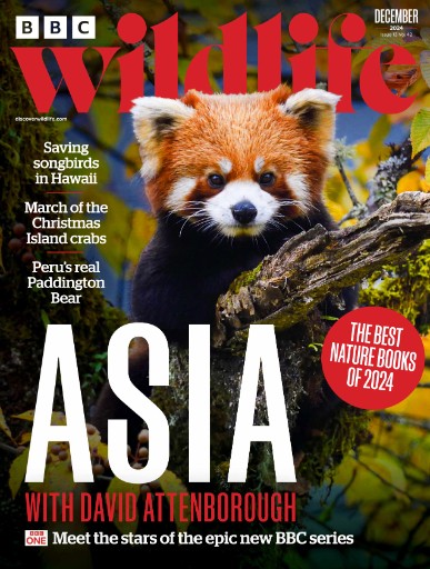 BBC Wildlife Magazine Subscriptions