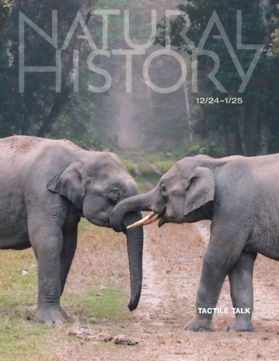 Natural History Magazine Subscriptions