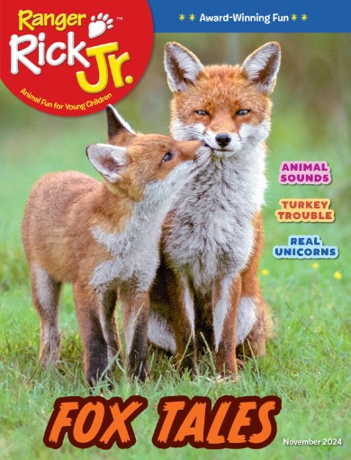 Ranger Rick Jr. Magazine Subscriptions