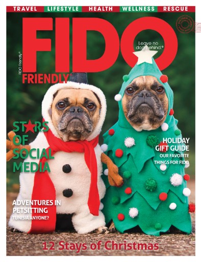 FIDO Friendly Magazine Subscriptions