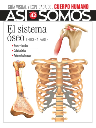 Así Somos Cuerpo Humano Magazine Subscriptions