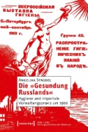 Die »Gesundung Russlands« : Hygiene und imperiale Verwaltungspraxis um 1900