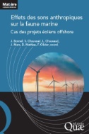 Effets des sons anthropiques sur la faune marine : Cas des projets éoliens offshore