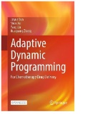 Adaptive Dynamic Programming : For Chemotherapy Drug Delivery